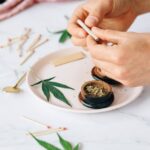 Выращивание конопли в домашних условиях