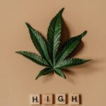 Опиумное эфирное масло свойства и применение