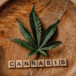 Выращивание Марихуаны Для Начинающих