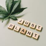 Купить марихуану онлайн и ее свойства