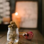 Семена конопли Auto Amnesia feminised