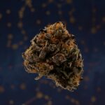 Наркотические средства и их характеристики в Пушкино