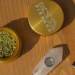 Стоимость семян марихуаны и особенности их приобретения