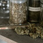 Полезные свойства и рецепты блюд с семенами конопли