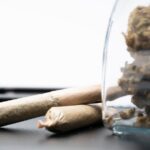 Химический состав семян конопли и их полезные свойства img-2378.jpg