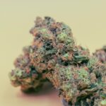 Купить марихуану в Тюмени