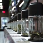 Продажа семян конопли и их применение