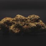 Выращивание Конопли в Старом Осколе и Перспективы Использования Семян Конопли