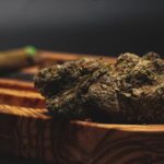 Семена конопли Purple Wreck feminised Reserva Privada