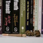 Сорт конопли Strawberry Amnesia феминизированный от Dinafem Seeds