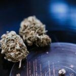 Наркотики в Кемерово