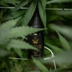 Аптечные наркотики и законодательные ограничения на их продажу