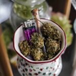 Семена конопли Auto Northern Lights CBD feminised