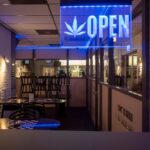 Спайсы и курительные смеси: обзор проблемы