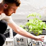 Купить спайс в Ростове: особенности и риски покупки и употребления