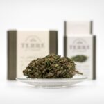 Свойства и применение семян конопли в Украине