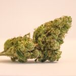 Свойства и параметры спайса и информация о его приобретении