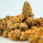 Легальные наркотические вещества: виды, свойства и эффекты