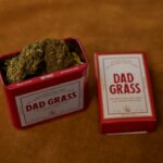 Купить семена конопли в Перми