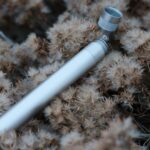 Покупка семян конопли в России с доставкой наложенным платежом