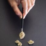 Проращивание семян конопли и условия необходимые для их успешного роста