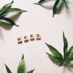 Купить марихуану в Тюмени