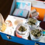 DNA Mix Pack regular от DNA Genetics обзор набора семян конопли