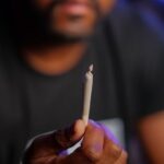 Семена конопли Auto Bomb regular Ganja Seeds