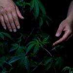 Героин в Самарской области