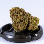 Конопля и ее свойства