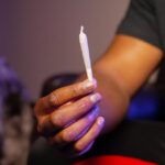 Семя конопли как корм для птиц